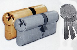 Asec 6 pin euro profile door cylinders